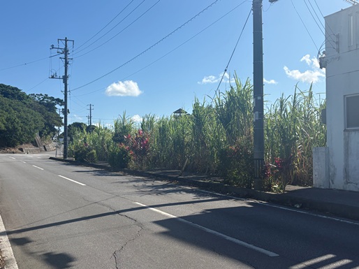 八重瀬町小城 ２区画